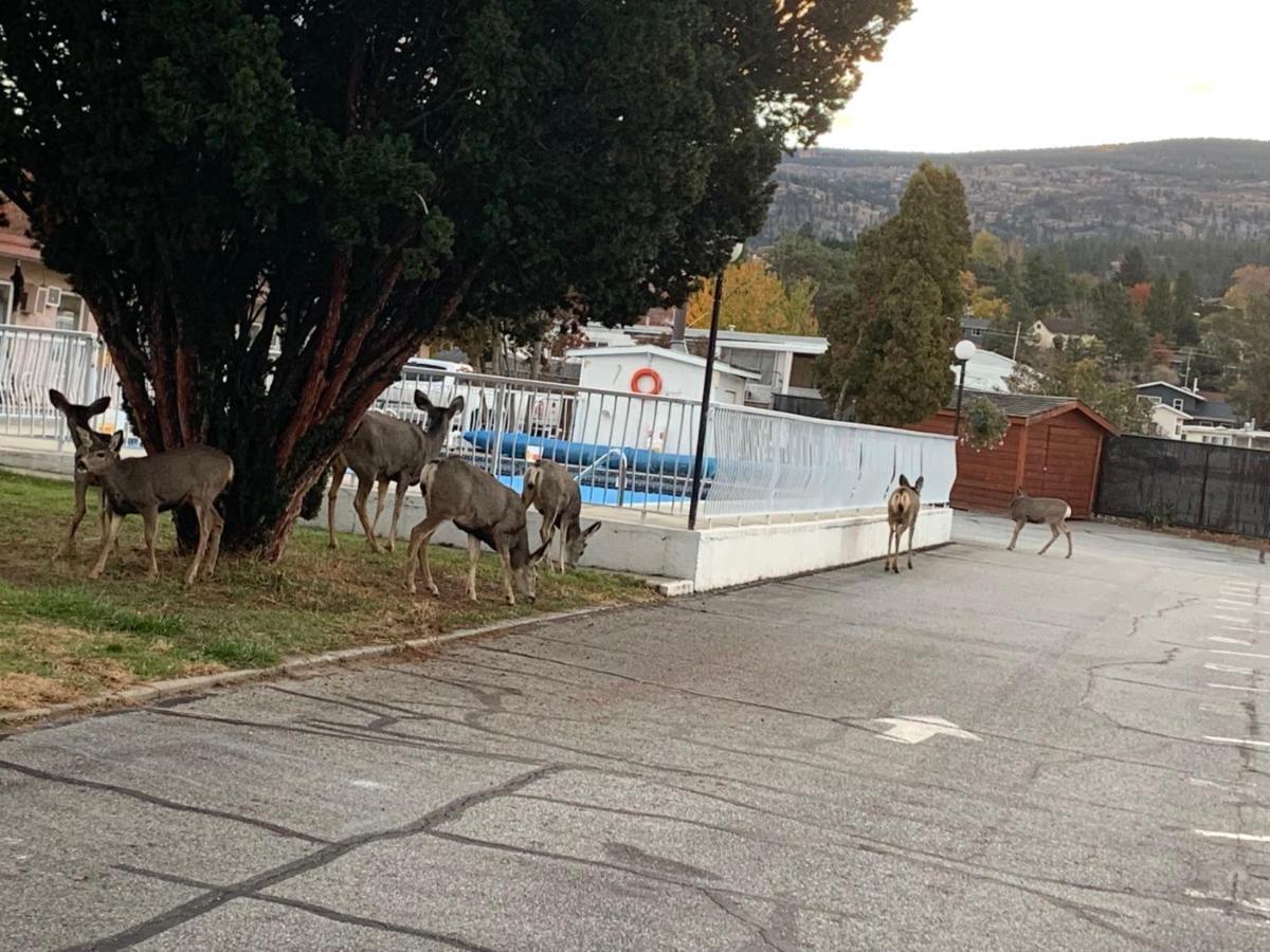Swiss Sunset Inn Penticton Luaran gambar